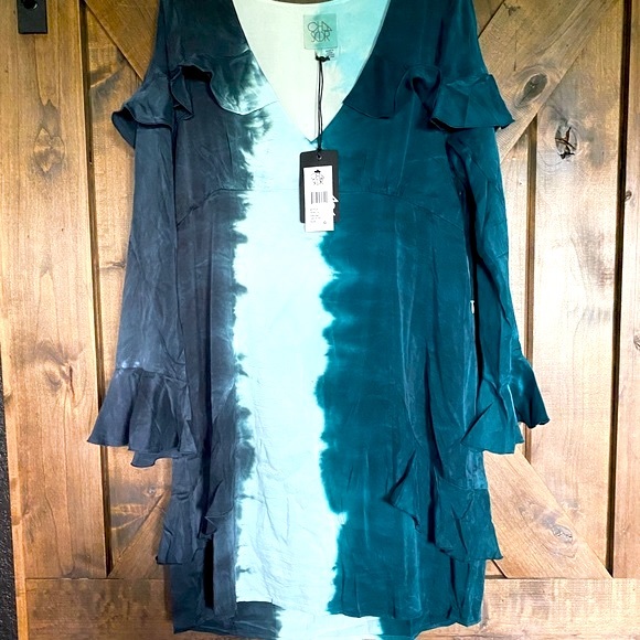 Chaser Ruffled Silk Tie Dye Mini Dress NWT - Picture 13 of 16